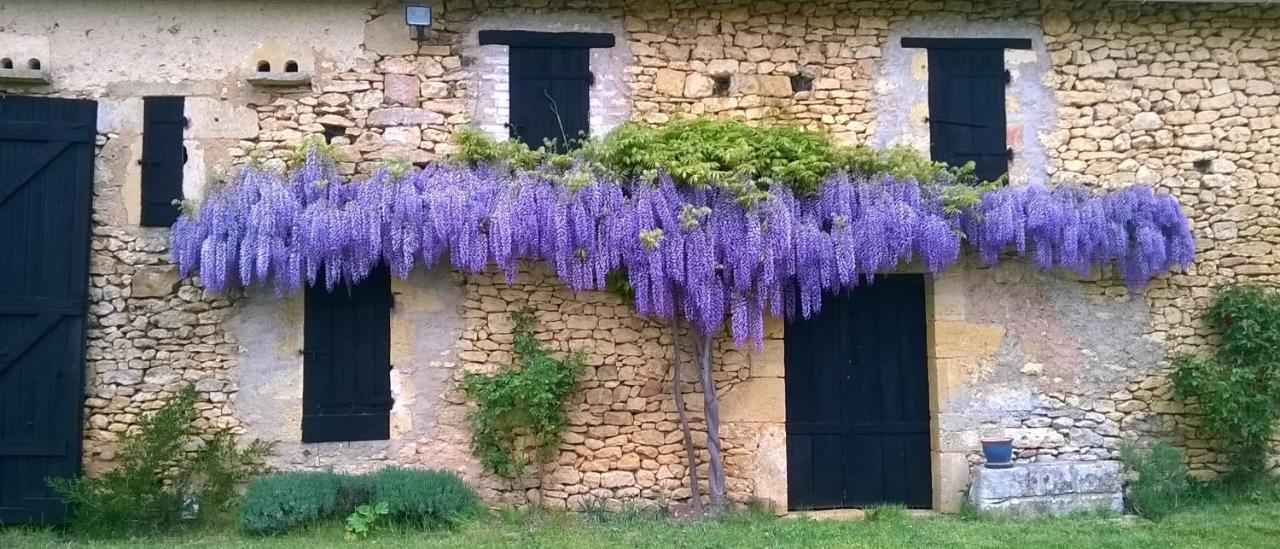 Domaine De Manilau Villa Le Buisson-de-Cadouin Exterior photo