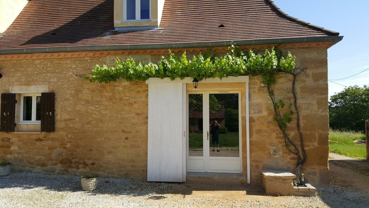 Domaine De Manilau Villa Le Buisson-de-Cadouin Exterior photo